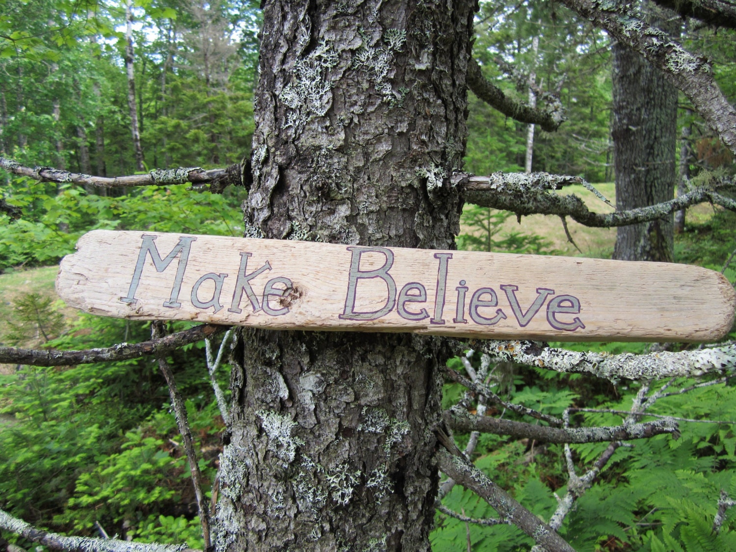Double Sided Driftwood Shelf Sign - Fairytale/Make Believe