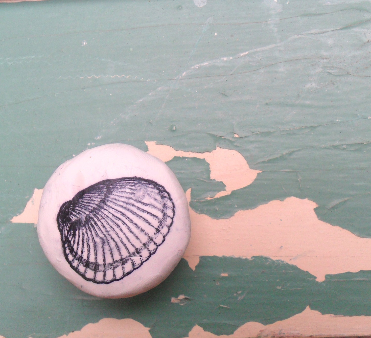 VIntage Inspired Distressed Shell Knobs in a TREASURY