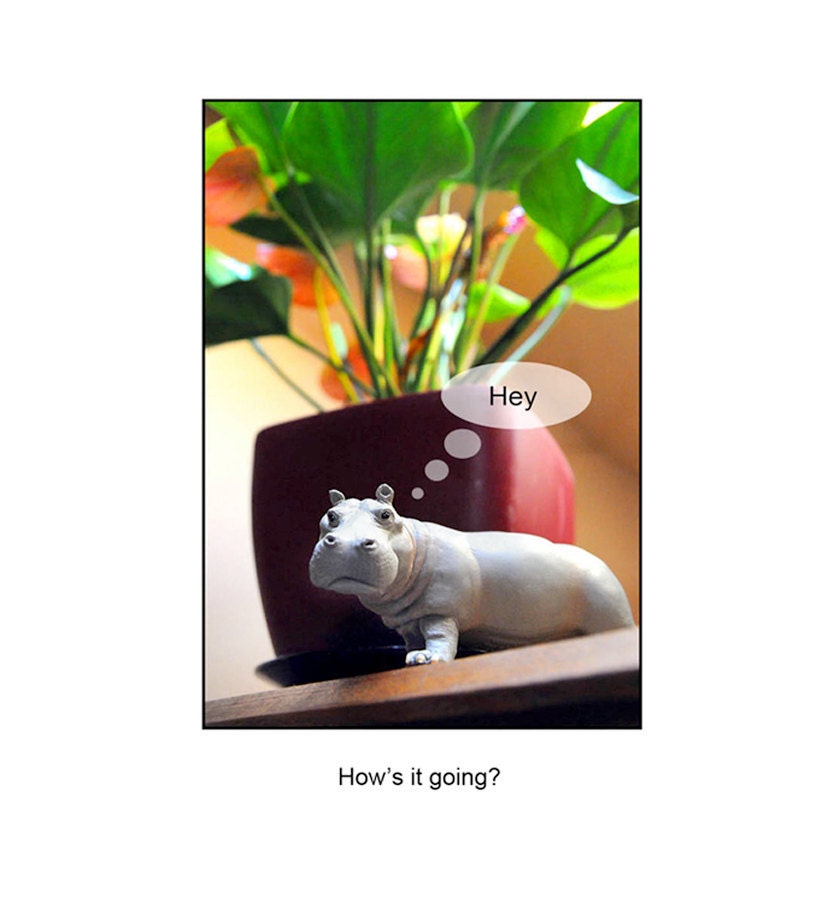 SET OF 4 The Hippo Speaks Greeting Card - Note Card - Blank Inside