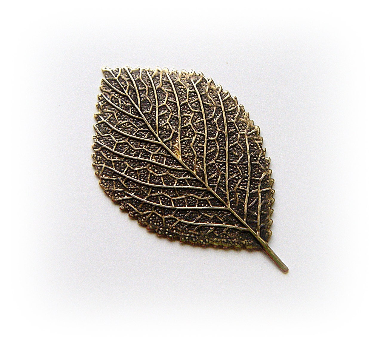 2 ASPEN LEAF Antique Ox Brass Jewelry Findings (F)