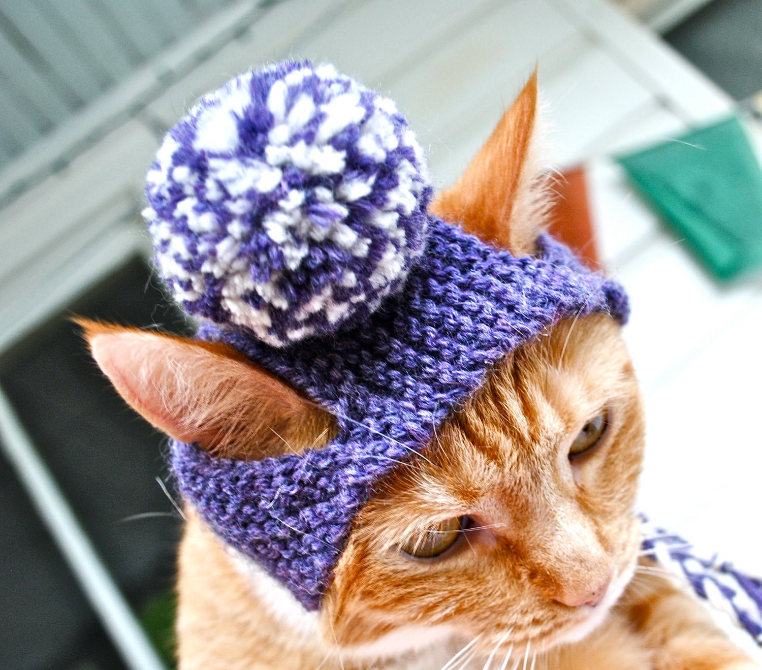 Pom Pom Cat Hat - Purple and White