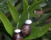 Big Island Cowry & Puka Shell Earrings