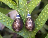Big Island Cowry & Puka Shell Earrings w/ Sodalite