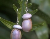 Big Island Cowry & Puka Shell Earrings