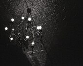 Ceiling Lights -  4x6 Photograph