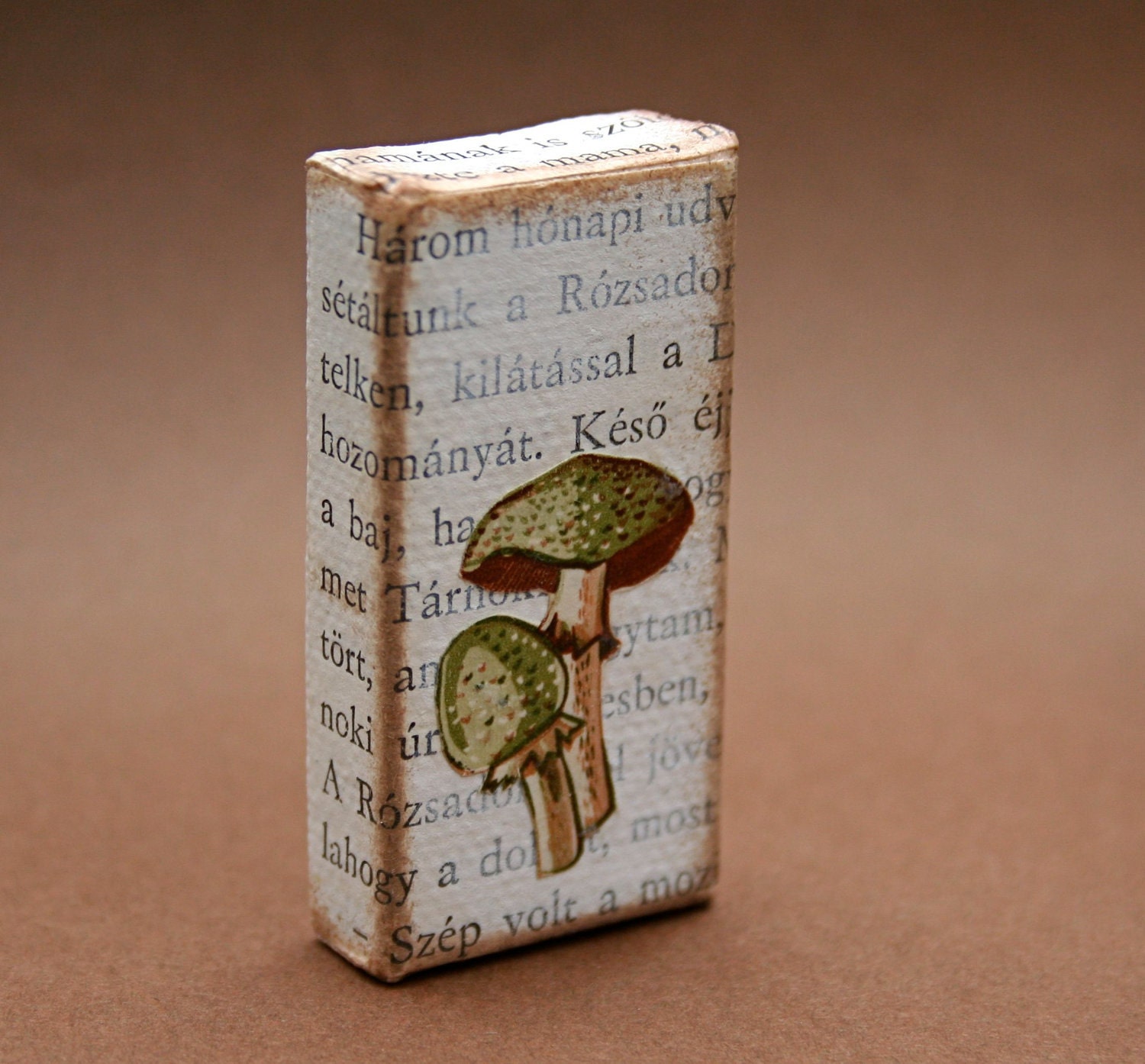Hungarian Mushrooms Mini Collage on Canvas