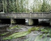 Irish Bridge - Cork, Ireland - 8x10 Fine Art Photography Print