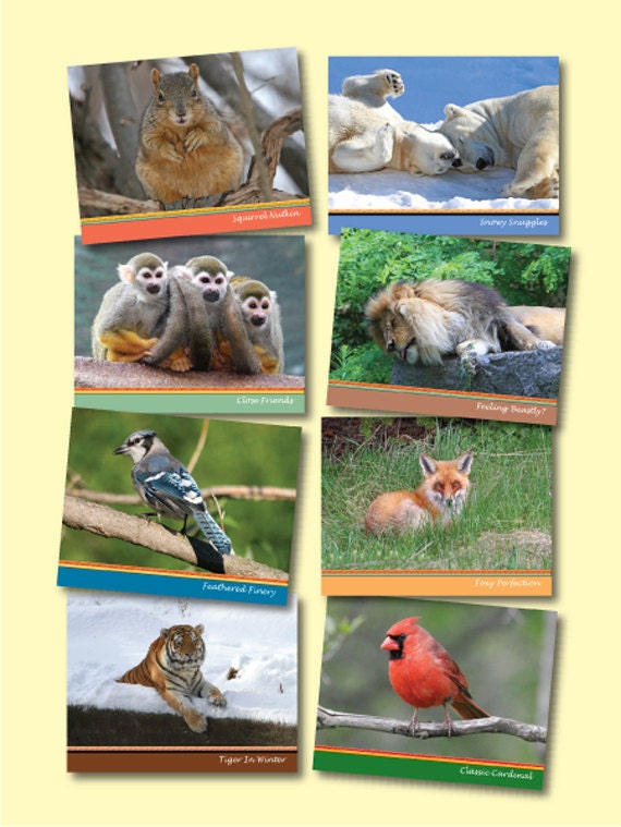 Nature Note Cards - Squirrel, Polar Bears, Lion, Tiger, Monkeys, Fox, Blue Jay, Cardinal - Mix and Match Set of 8 - "Birds & Beasts"