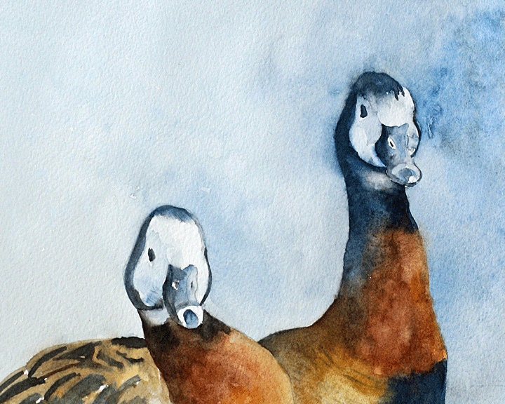 Duck PRINT from Duck Painting 8 x 10 ( Duck art PRINT for outdoorsman in cobalt blue brown rust gold golden gray grey black white yellow - rachellelevingston
