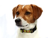 5/8 or 3/4 Inch Wide Dog Collar with Adjustable Buckle or Martingale in Devils an Exclusive Design