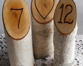 Reserved - 17 Rustic Natural Wedding Birch Hand Engraved, Table Numbers