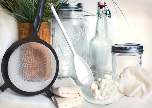 COMPLETE Live Milk Kefir Grains KIT- Strainers, Jars, Recipes, PICTURE Guide