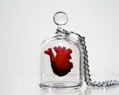 Anatomical Heart Necklace - Heart in a Jar