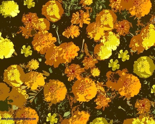 Autumn Marigolds Photo, Digital Painting,  20 x 16 inch,  Fine Art Poster Print