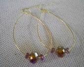 Gold Hoop and Crystal Earrings