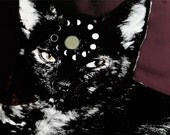 Mystic Cat Print Ehwaz Archival Screenprint and Original Artwork 12 x 13 in