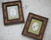 foursour wood framed bird prints