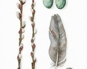 Original Watercolor Print Fine Art Illustration Feather Collection No.19 - (6 x 8) Original Watercolor Painting by Lorisworld