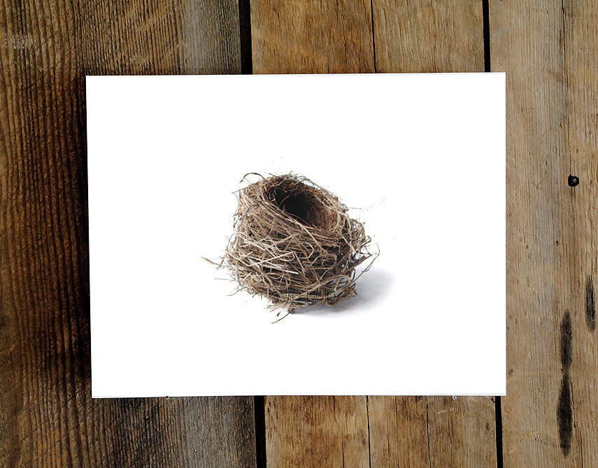 Nest no.15 - 8" x 10" Photograph of hand built, bird nest inspired sculpture - rustic home decor : 20% Off Autumn Sale