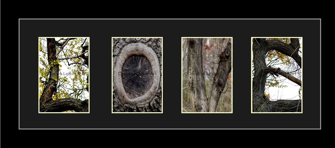 LOVE-100 Alphabet Letter Art Photography choices- available in color, black & white or sepia