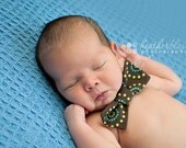 Brown, Teal & Lime Little Boys Bow Tie- Circles And Dots