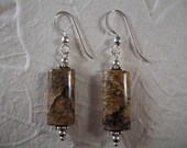 Picture Jasper and Sterling Earrings