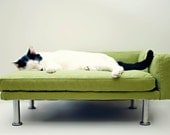 Modern Pet Bed, chaise lounge chair (Cat Bed / Small Dog Bed)