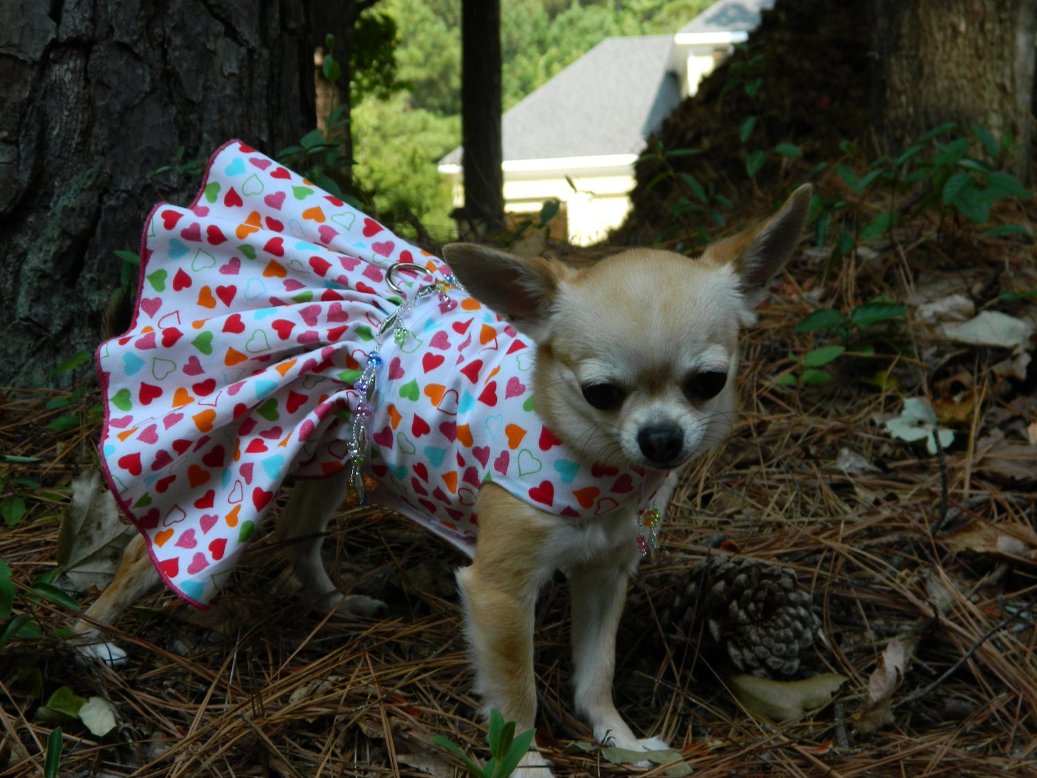 My Little Sweetheart - Fancy Dog Dress