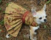Autumn Treasures - Fancy Dog Dress
