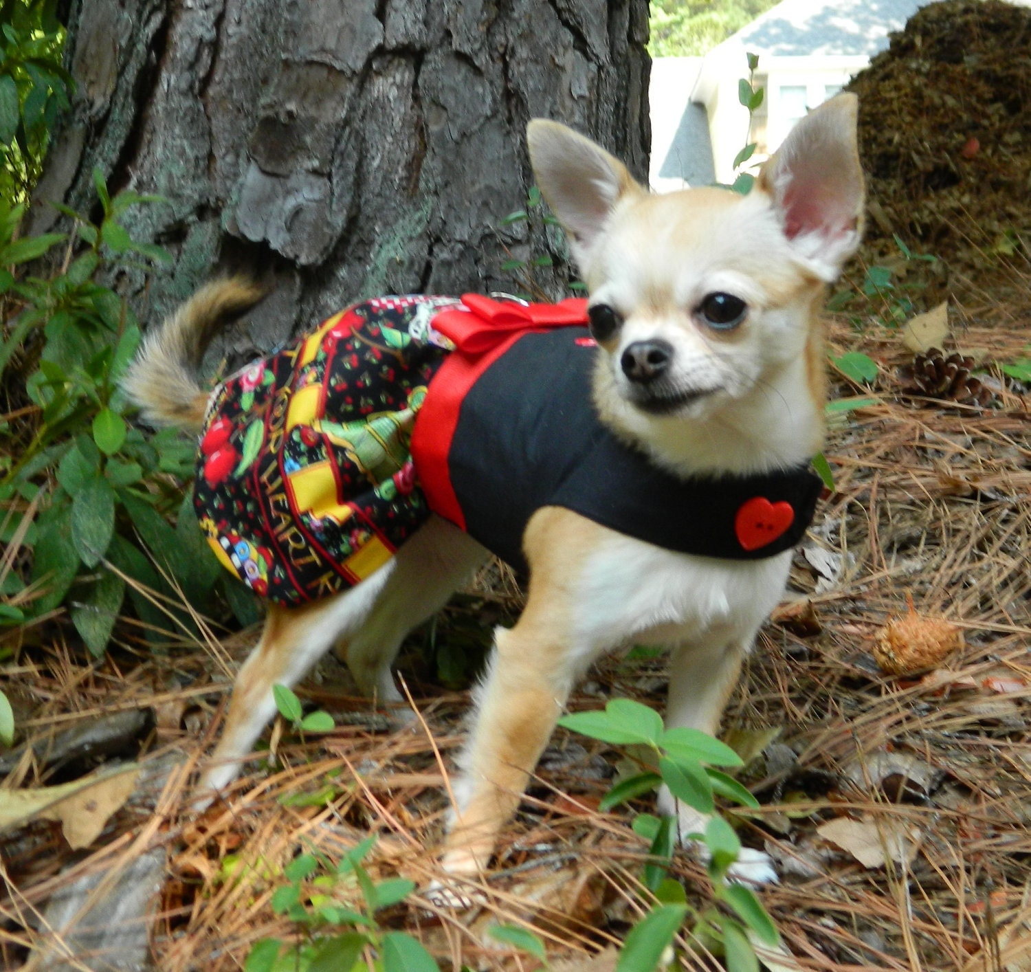 Sweet Cherry Dog Dress