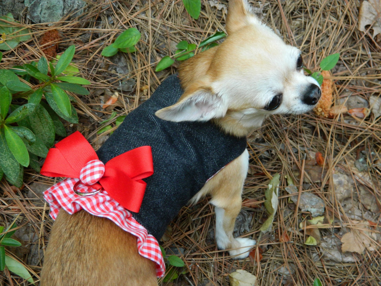 Country Denim Dog Harness