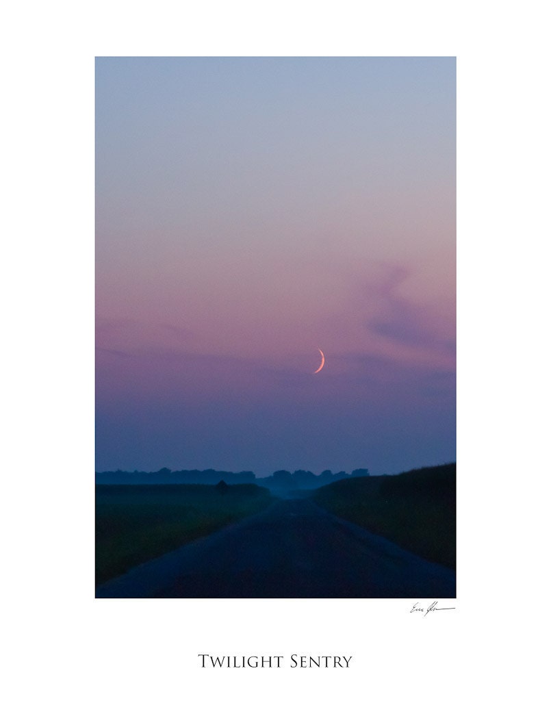 Twilight Sentry, 11x14" print