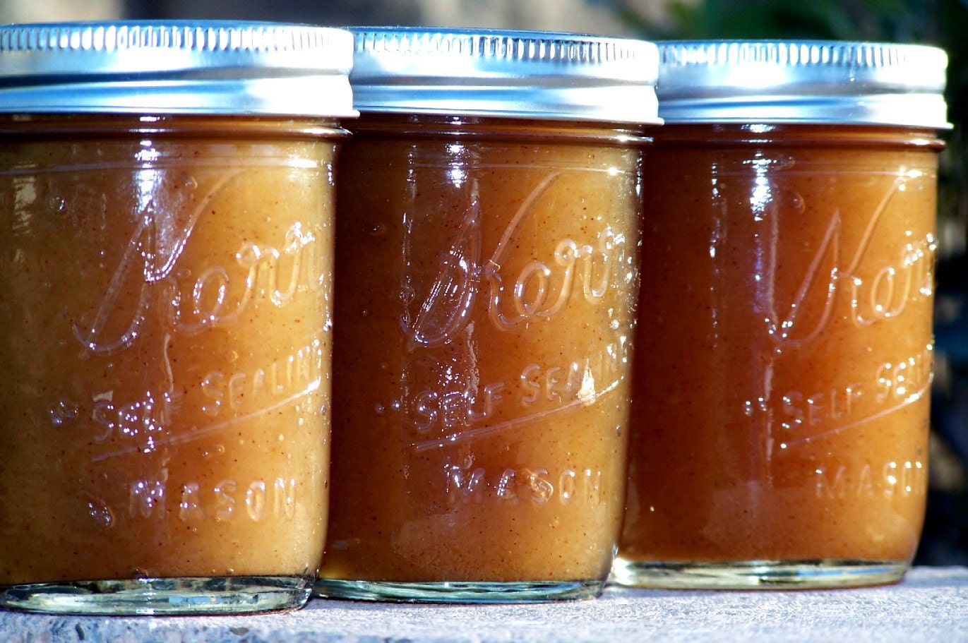Delicious Apple Butter- 8oz Jar