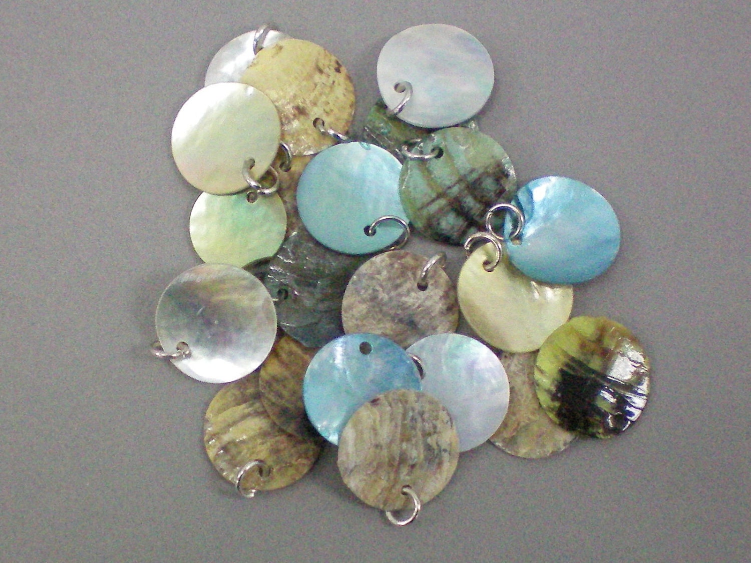 Pastel Colored Mussel Shell