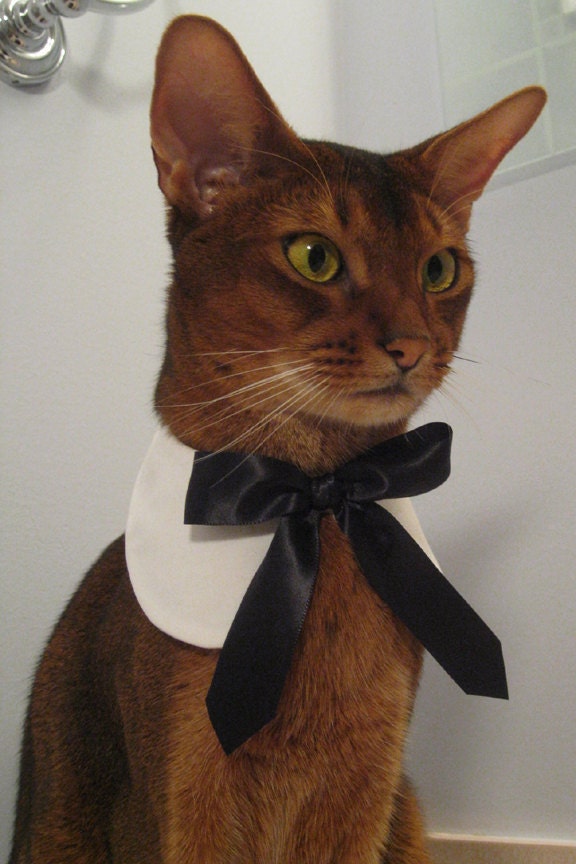 White round collar with black satin ribbon tie