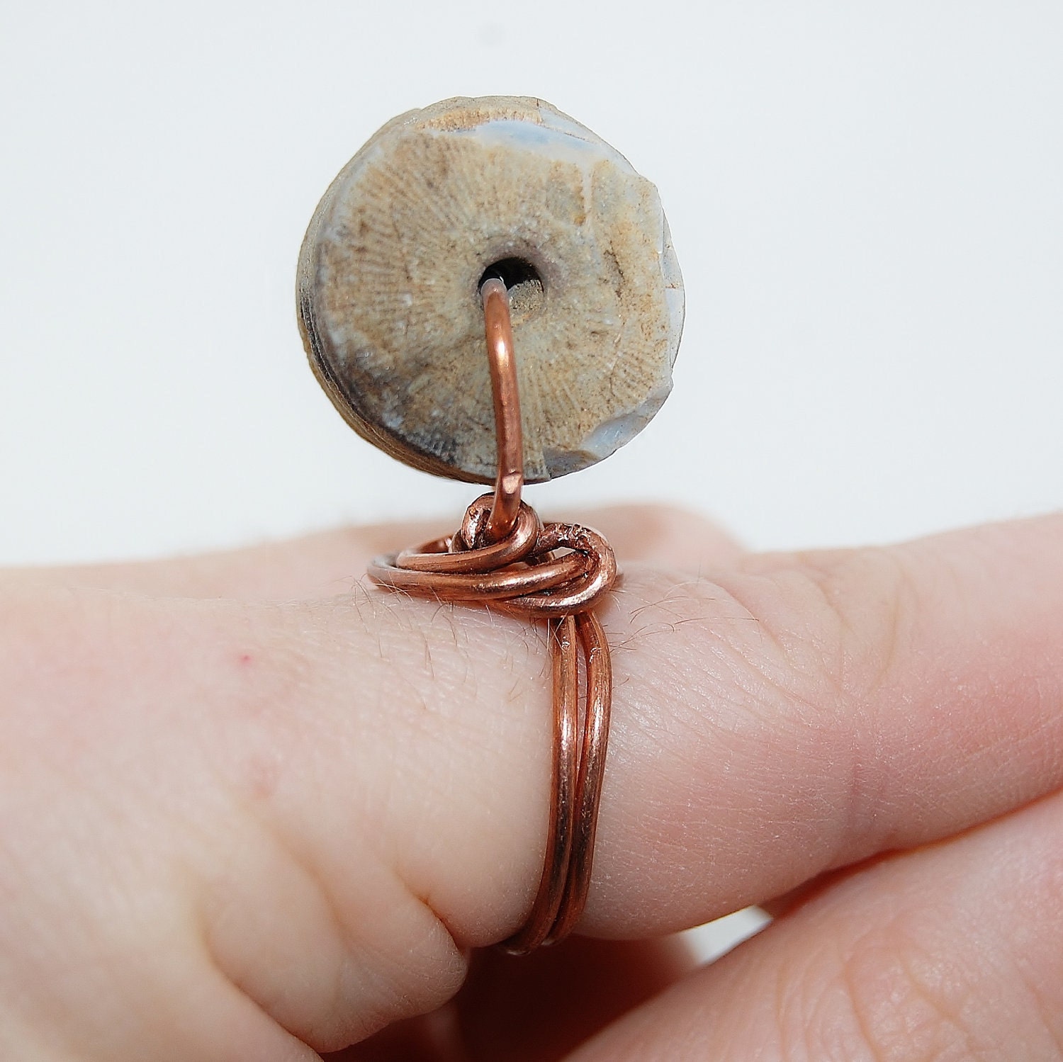 Fossil crinoid ring in copper