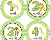 Baby Month Stickers Boy Monthly Onesie Stickers Green Yellow Safari Jungle Monkey Lion Month Stickers Baby Shower Gift Photo Prop Caden