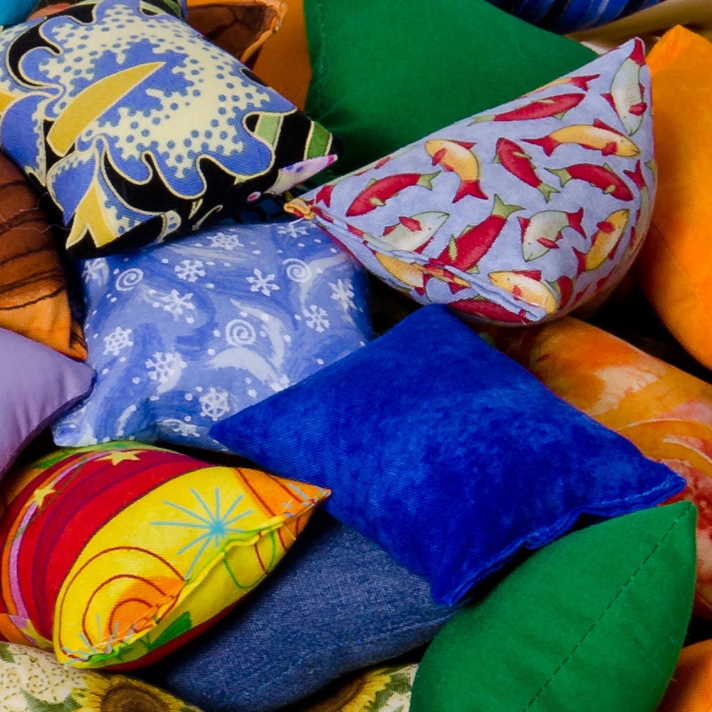 Add Three Catnip Pillows - Free Shipping