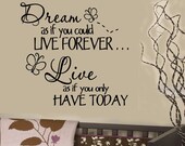 Kids Room Dream Butterfly inspirational  Nursery Vinyl Wall Saying letters decal