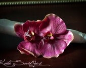 Orchid Hair Pin - Two Orchid Raspberry Pink Real Touch Hair Pin