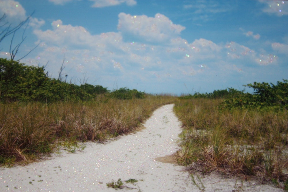 Sandy Trail 5 x 7 Glossy Fine Art Photograph Print Glossy