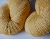 SALE Shine Lace