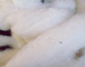 Cormo Wool, organic roving buy 1 Ounce of cloud like softness Our Farm Speciality