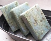 EUCALYPTUS MINT Soap... Black Kettle