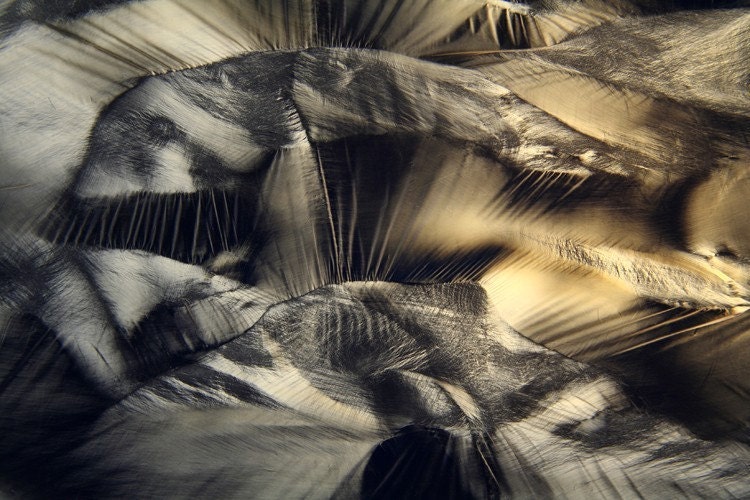 black and beige landscape 1