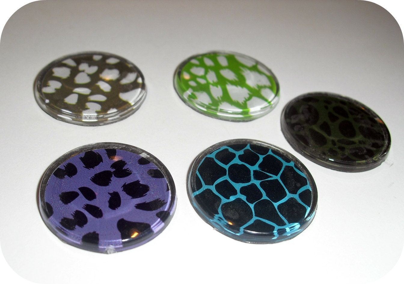 5 Animal Print Magnets- LAST SET