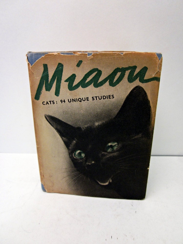 Miaou - Cats: 94 Unique Studies - 1950