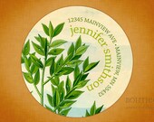 Custom Return Address Labels - Butchers Broom