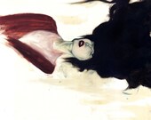 Pippi, A 16" x 20" Print By: Allison Harvard