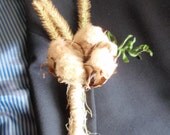 Naturally Colored Cotton Boll Boutonniere with Fern and Thistles